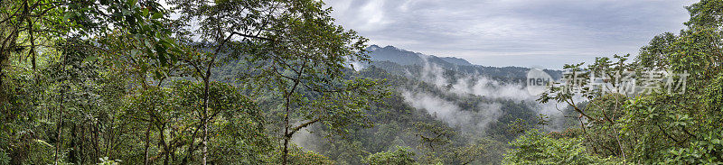 厄瓜多尔- Chocó云雾森林全景图